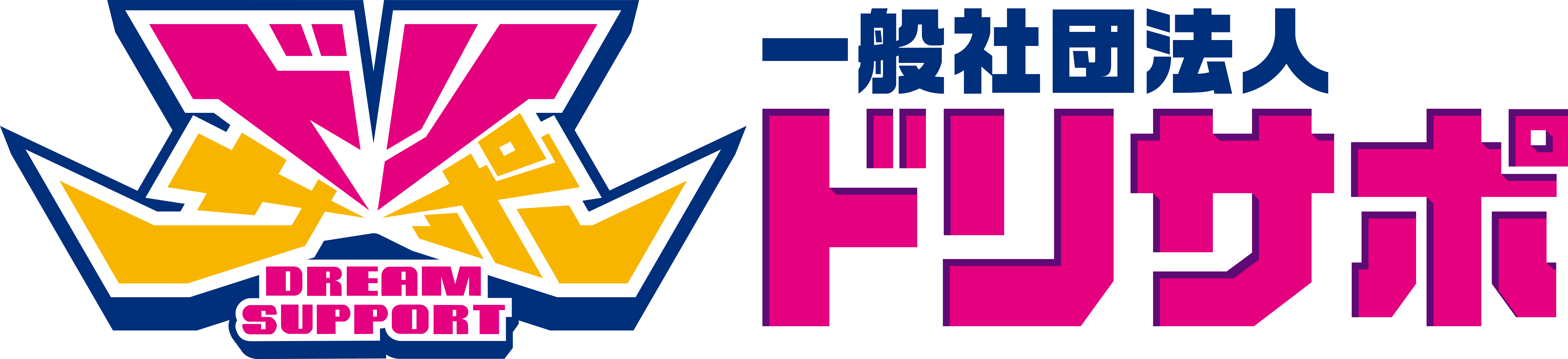 一般社団法人ドリサポ